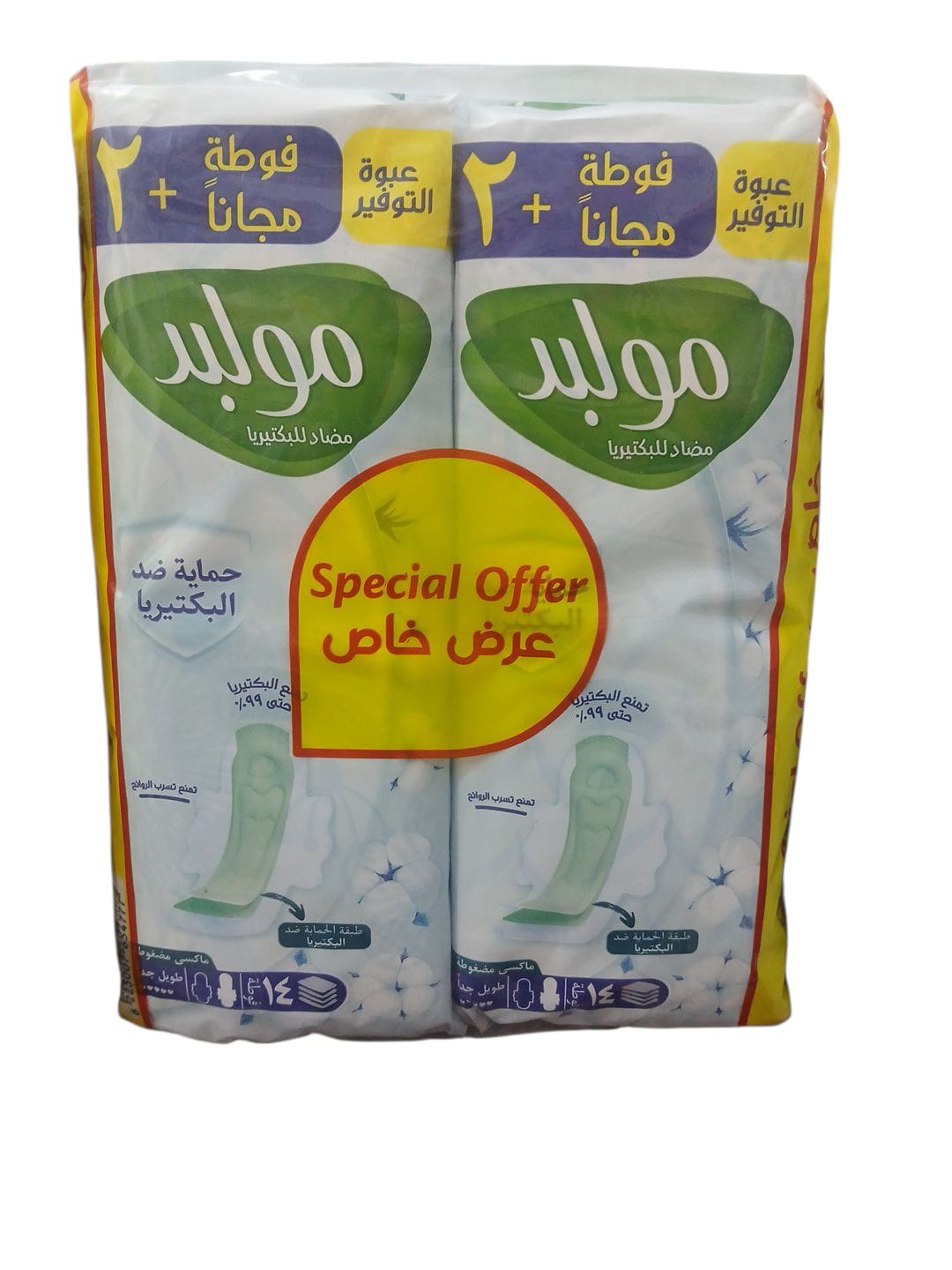 مولبد عرض 