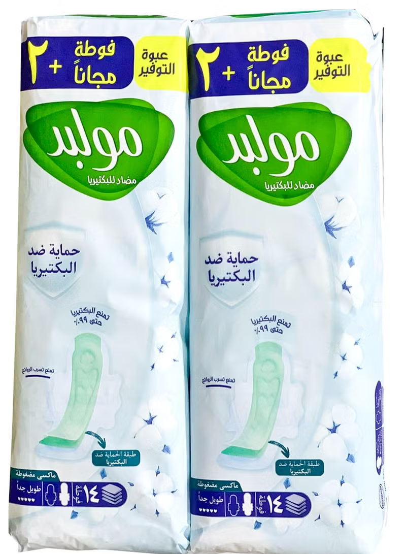 مولبد طويل جدا عرض 